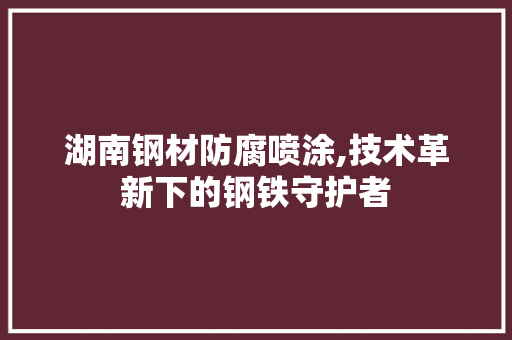 湖南钢材防腐喷涂,技术革新下的钢铁守护者