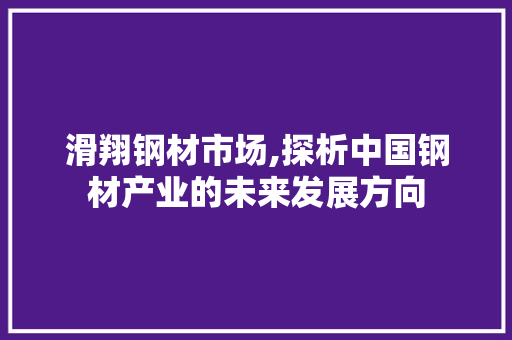 滑翔钢材市场,探析中国钢材产业的未来发展方向 地面装修