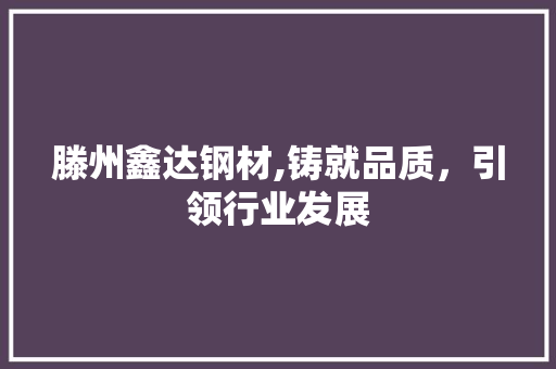 滕州鑫达钢材,铸就品质，引领行业发展