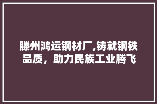 滕州鸿运钢材厂,铸就钢铁品质，助力民族工业腾飞 建筑设计