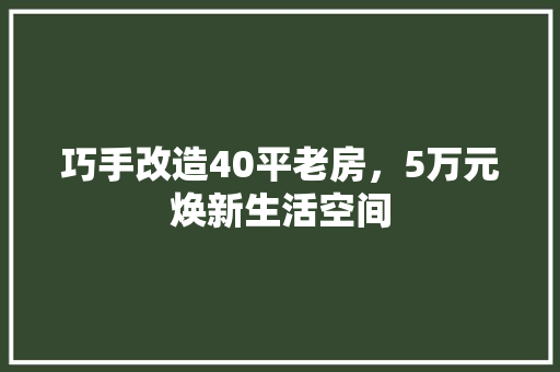 巧手改造40平老房，5万元焕新生活空间 隔断设计