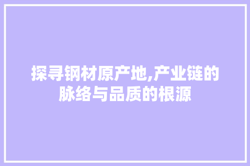 探寻钢材原产地,产业链的脉络与品质的根源