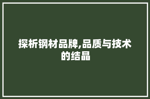 探析钢材品牌,品质与技术的结晶