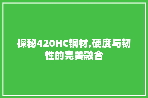 探秘420HC钢材,硬度与韧性的完美融合