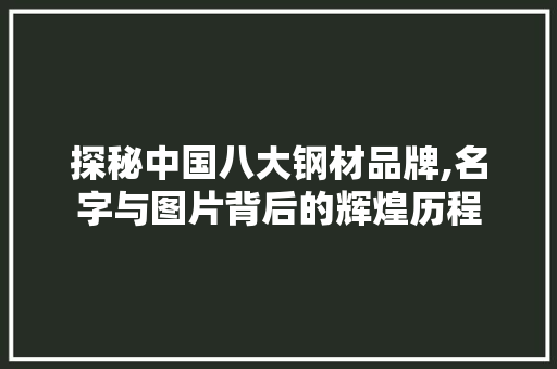 探秘中国八大钢材品牌,名字与图片背后的辉煌历程