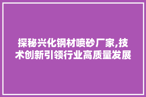 探秘兴化钢材喷砂厂家,技术创新引领行业高质量发展