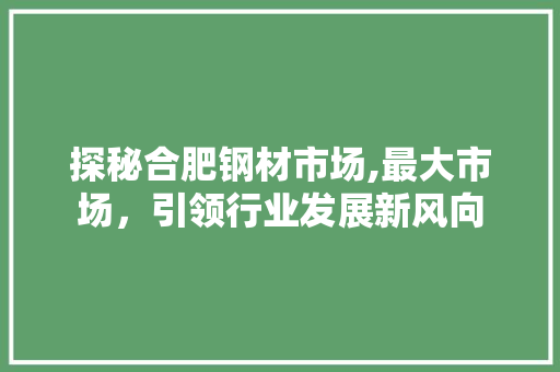 探秘合肥钢材市场,最大市场，引领行业发展新风向