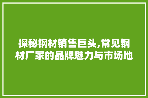 探秘钢材销售巨头,常见钢材厂家的品牌魅力与市场地位