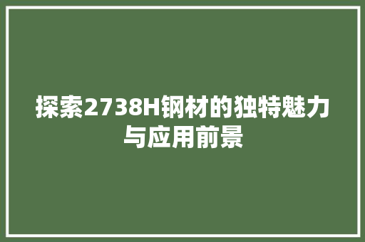 探索2738H钢材的独特魅力与应用前景