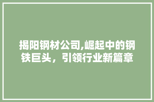 揭阳钢材公司,崛起中的钢铁巨头，引领行业新篇章 庭院装修