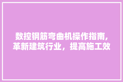 数控钢筋弯曲机操作指南,革新建筑行业，提高施工效率