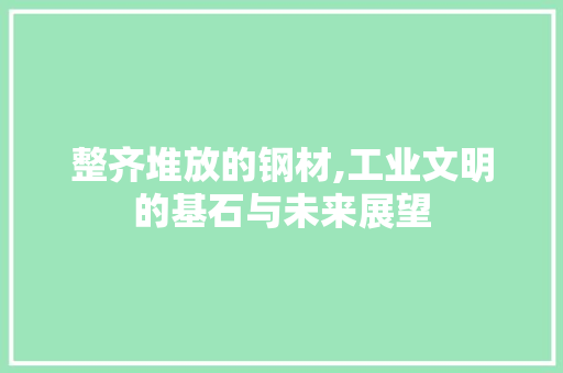 整齐堆放的钢材,工业文明的基石与未来展望