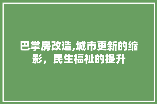 巴掌房改造,城市更新的缩影，民生福祉的提升