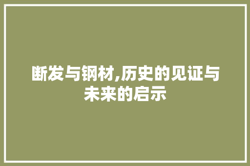 断发与钢材,历史的见证与未来的启示 庭院装修