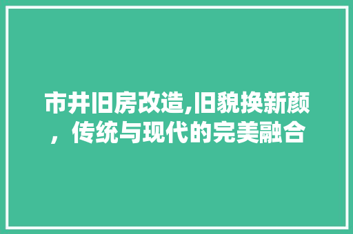 市井旧房改造,旧貌换新颜，传统与现代的完美融合