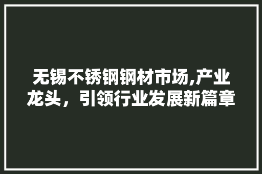 无锡不锈钢钢材市场,产业龙头，引领行业发展新篇章 装修攻略