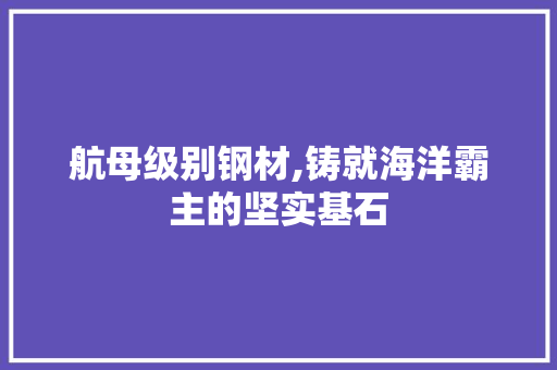 航母级别钢材,铸就海洋霸主的坚实基石