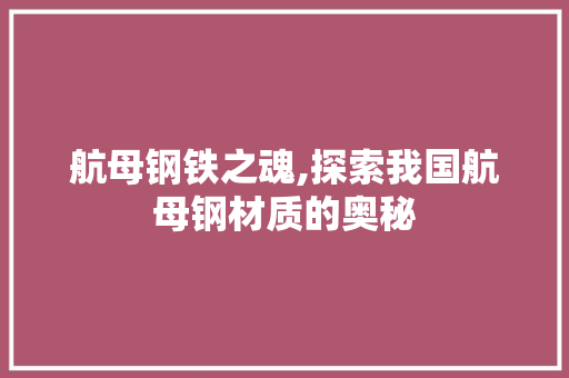 航母钢铁之魂,探索我国航母钢材质的奥秘