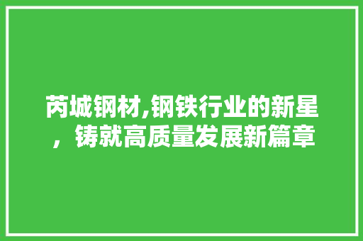芮城钢材,钢铁行业的新星，铸就高质量发展新篇章