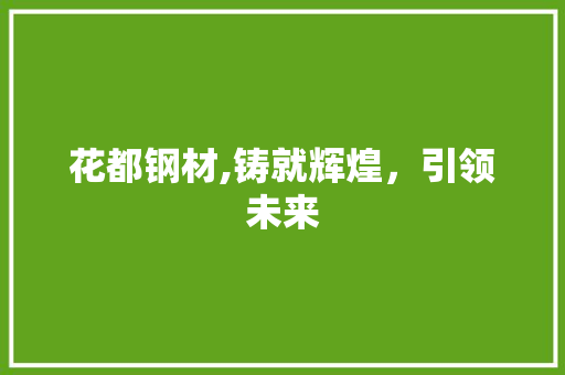 花都钢材,铸就辉煌，引领未来
