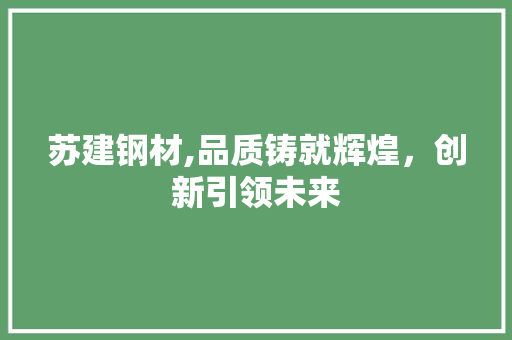 苏建钢材,品质铸就辉煌，创新引领未来