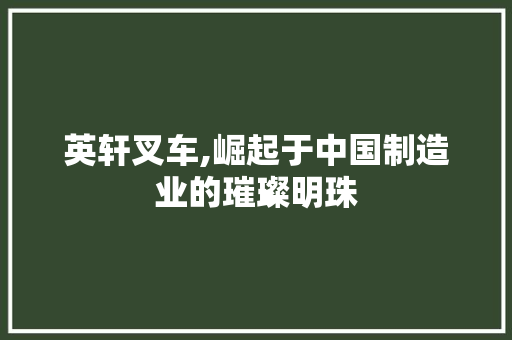英轩叉车,崛起于中国制造业的璀璨明珠