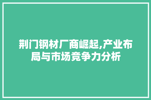 荆门钢材厂商崛起,产业布局与市场竞争力分析