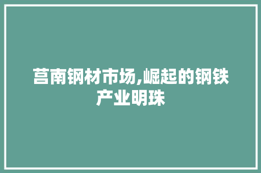 莒南钢材市场,崛起的钢铁产业明珠