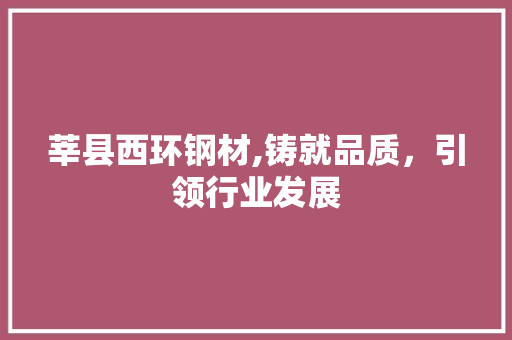 莘县西环钢材,铸就品质，引领行业发展