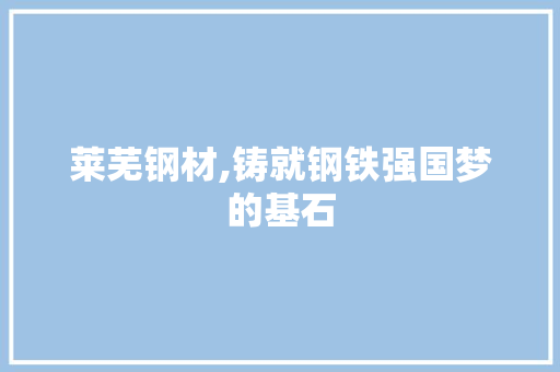 莱芜钢材,铸就钢铁强国梦的基石