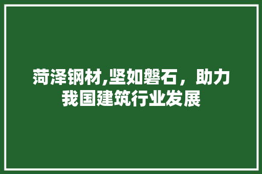 菏泽钢材,坚如磐石，助力我国建筑行业发展