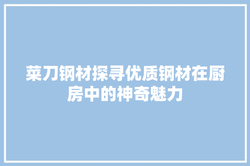 菜刀钢材探寻优质钢材在厨房中的神奇魅力