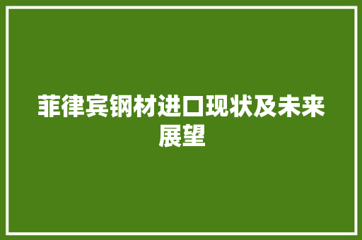 菲律宾钢材进口现状及未来展望