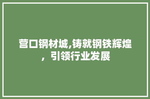 营口钢材城,铸就钢铁辉煌，引领行业发展