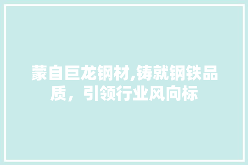 蒙自巨龙钢材,铸就钢铁品质，引领行业风向标