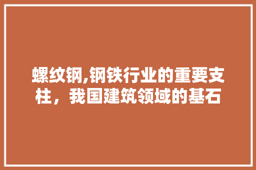 螺纹钢,钢铁行业的重要支柱，我国建筑领域的基石