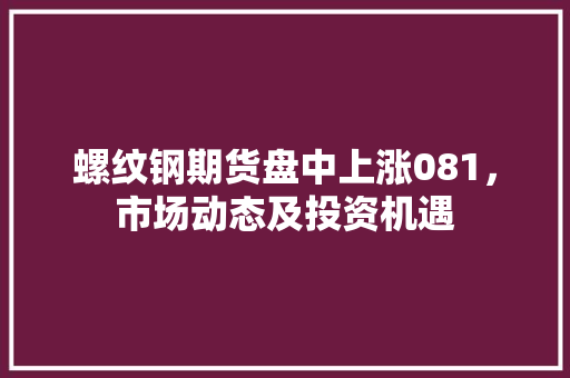 螺纹钢期货盘中上涨081，市场动态及投资机遇