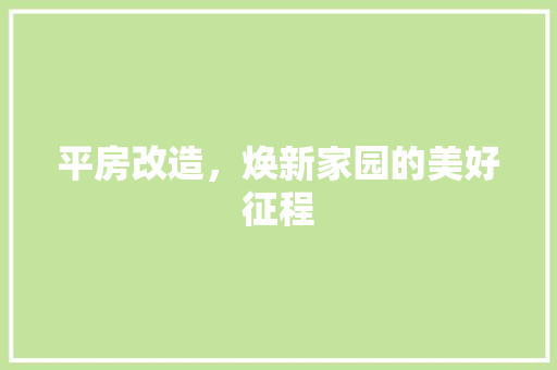 平房改造，焕新家园的美好征程