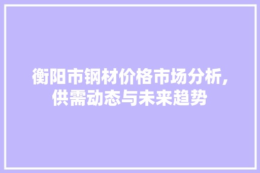 衡阳市钢材价格市场分析,供需动态与未来趋势