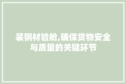 装钢材验舱,确保货物安全与质量的关键环节