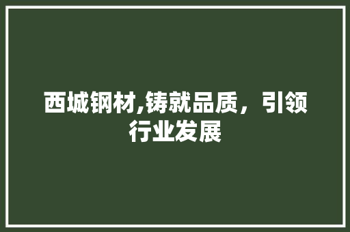 西城钢材,铸就品质，引领行业发展