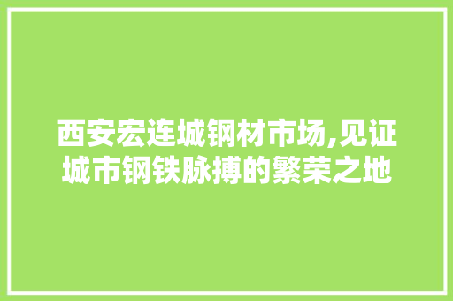 西安宏连城钢材市场,见证城市钢铁脉搏的繁荣之地