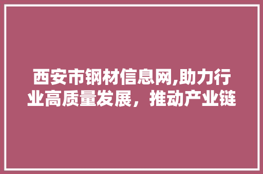 西安市钢材信息网,助力行业高质量发展，推动产业链融合升级