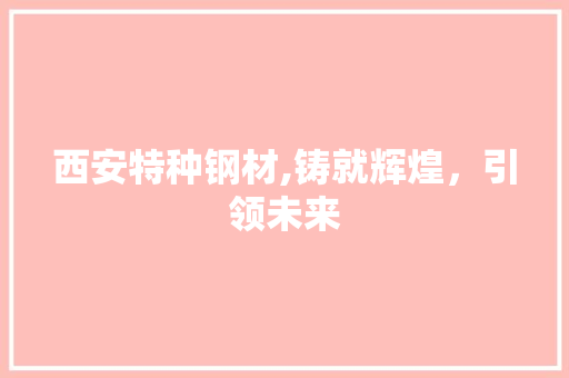 西安特种钢材,铸就辉煌，引领未来
