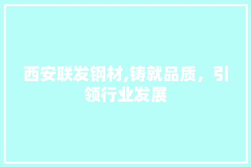 西安联发钢材,铸就品质，引领行业发展