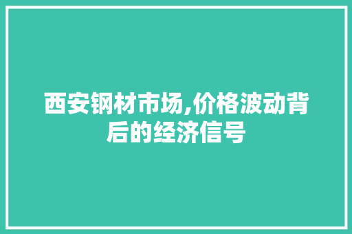西安钢材市场,价格波动背后的经济信号