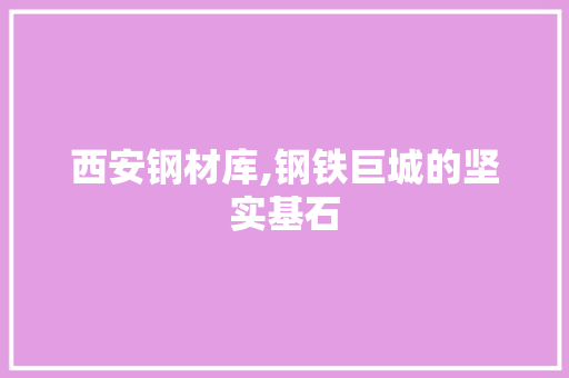 西安钢材库,钢铁巨城的坚实基石