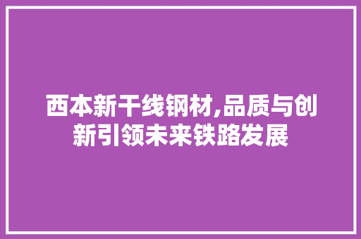 西本新干线钢材,品质与创新引领未来铁路发展