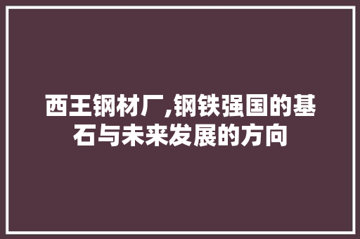 西王钢材厂,钢铁强国的基石与未来发展的方向