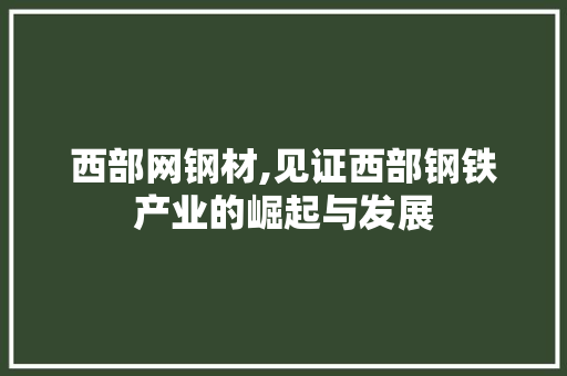 西部网钢材,见证西部钢铁产业的崛起与发展